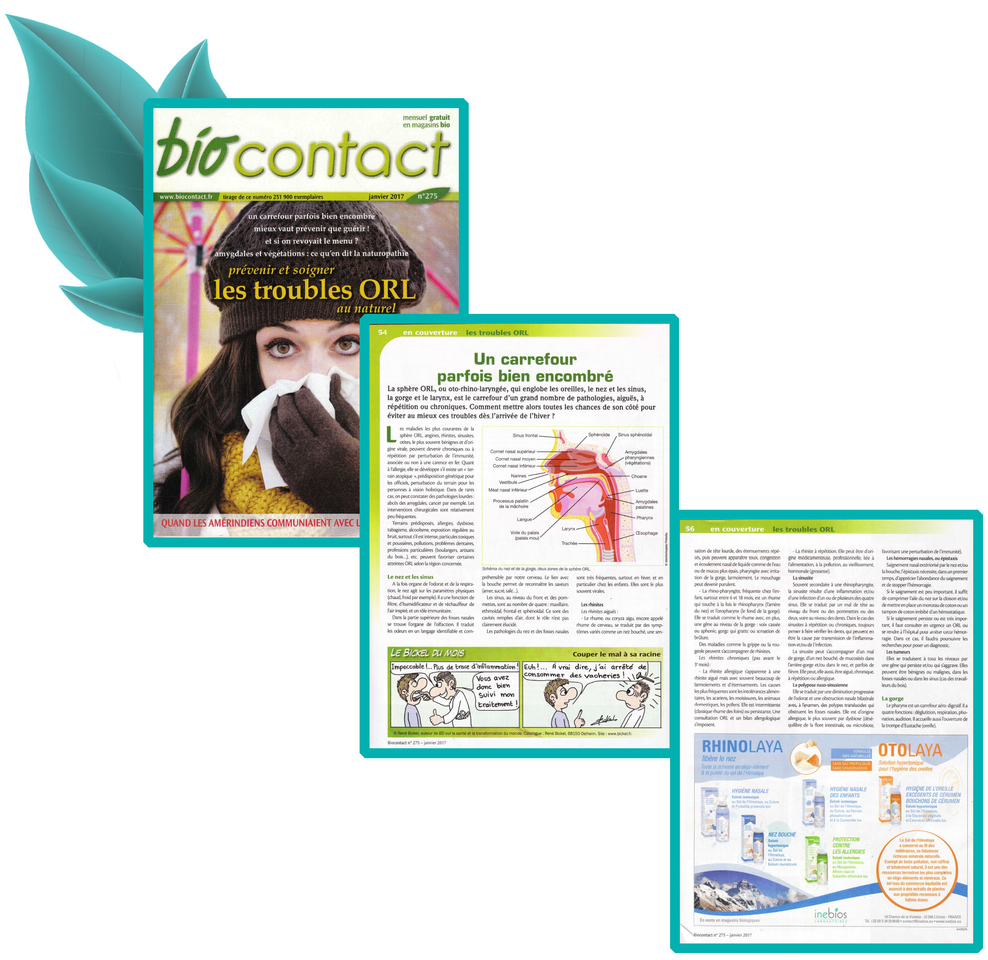 Publicité Inebios sur Biocontact Janvier 2017
