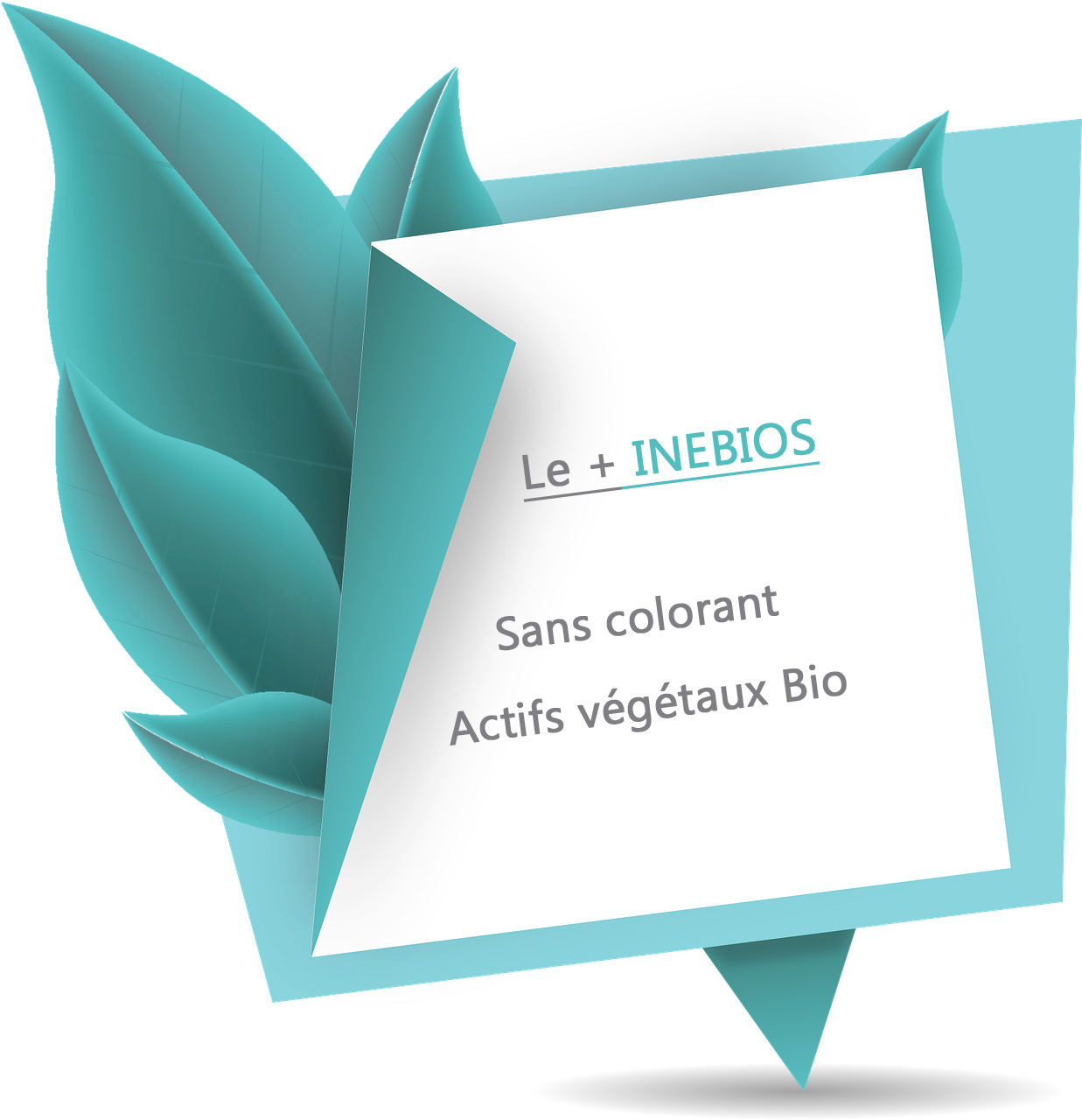 Complément alimentaire sans colorant, aux actifs végétaux bio