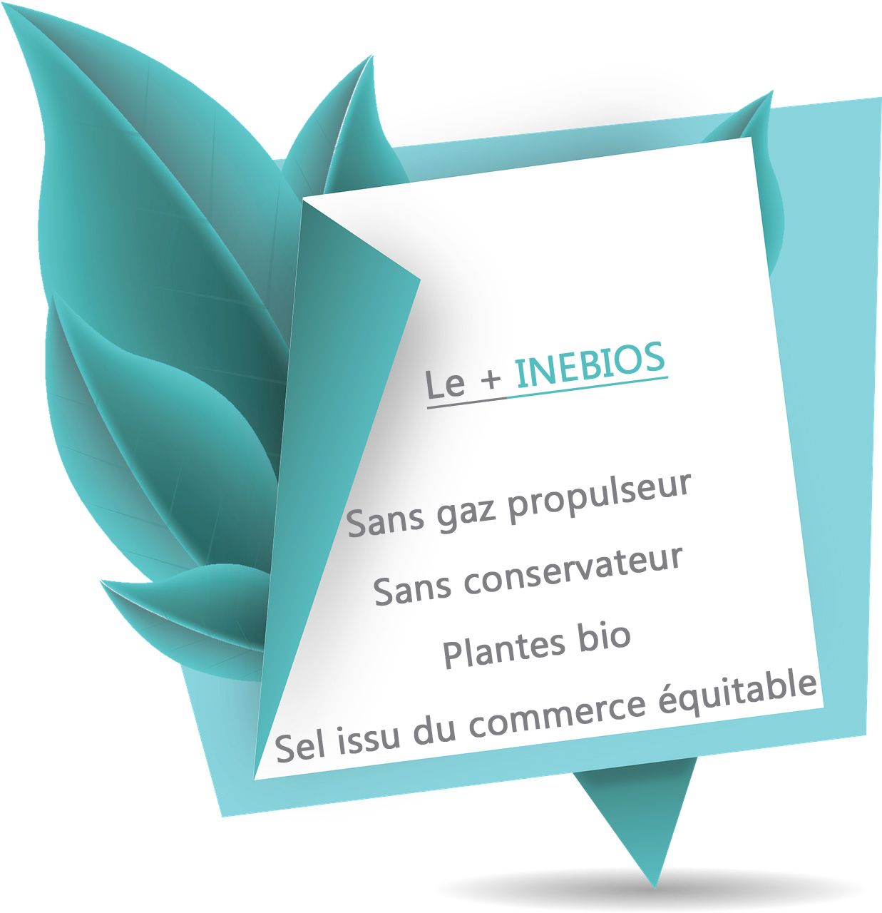 Gamme ORL sans gaz propulseur, sans conservateur, aux plantes bio et sel issus du commerce équitable