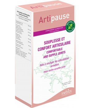Artipause
