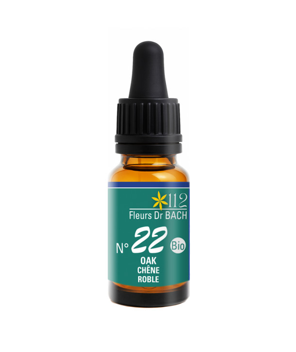 N°22 OAK / CHENE
