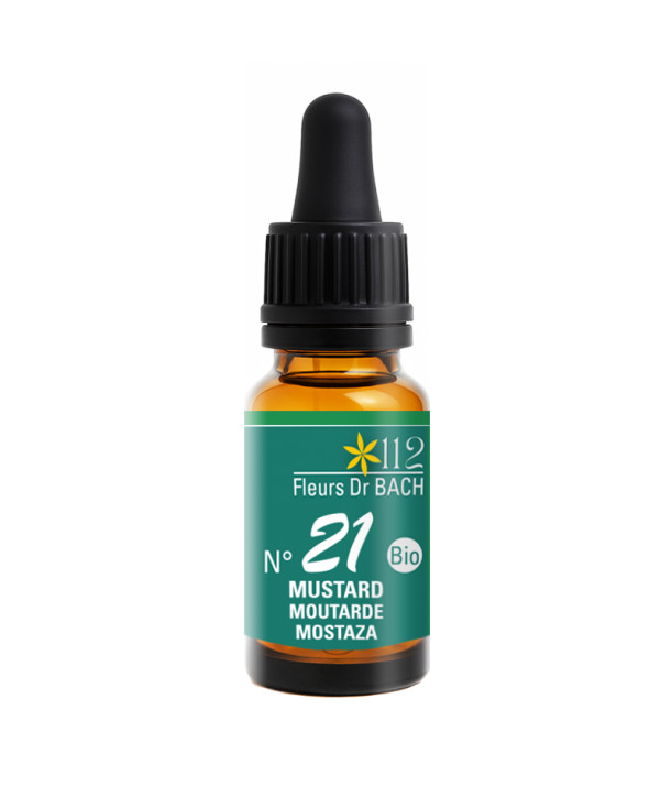 N°21 MUSTARD / MOUTARDE