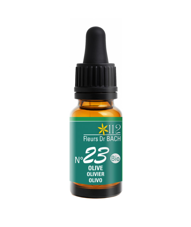 N°23 OLIVE / OLIVIER