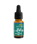 N°24 PINE / PIN SYLVESTRE