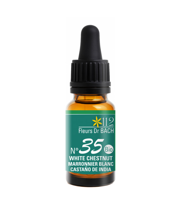 N°35 WHITE CHESTNUT / MARRONNIER BLANC