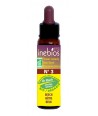N°3 BEECH / HETRE