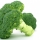 BROCOLI