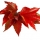VIGNE ROUGE