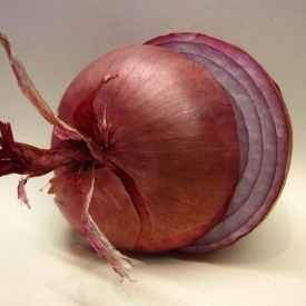 ALLIUM CEPA
