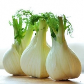 FENOUIL